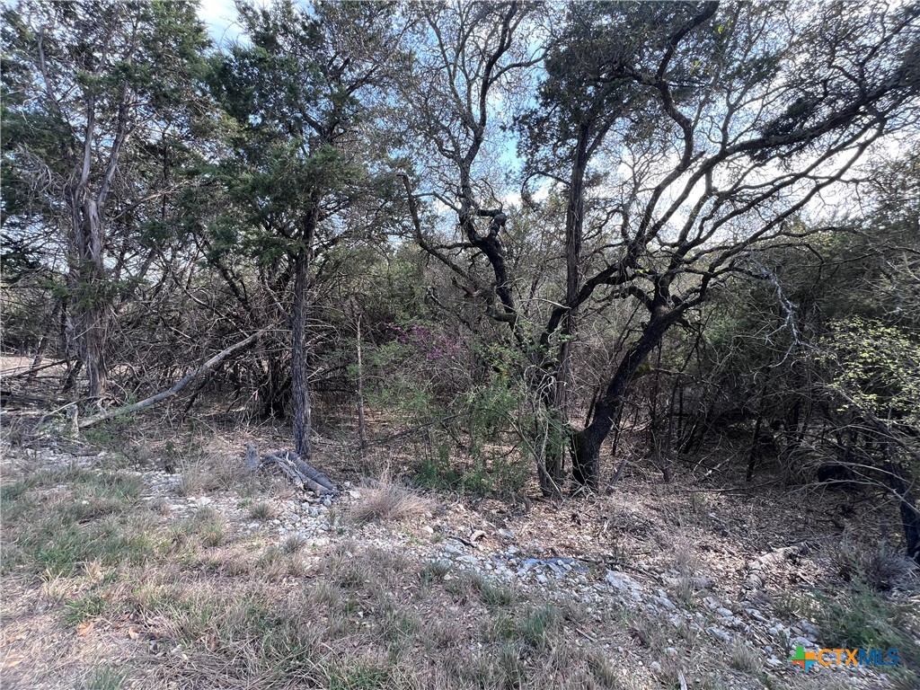 4079 Sherwood Drive Belton, TX 76513 - Photo 3 of 9