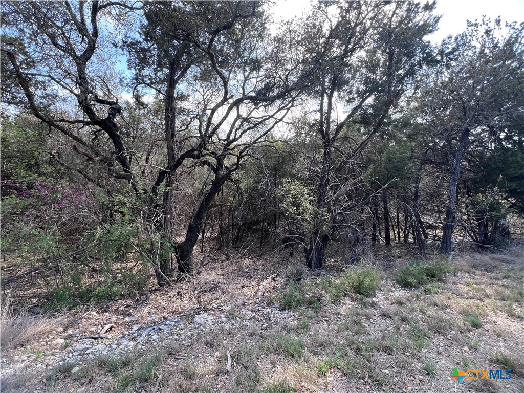 4079 Sherwood Drive Belton, TX 76513 - Photo 4 of 9