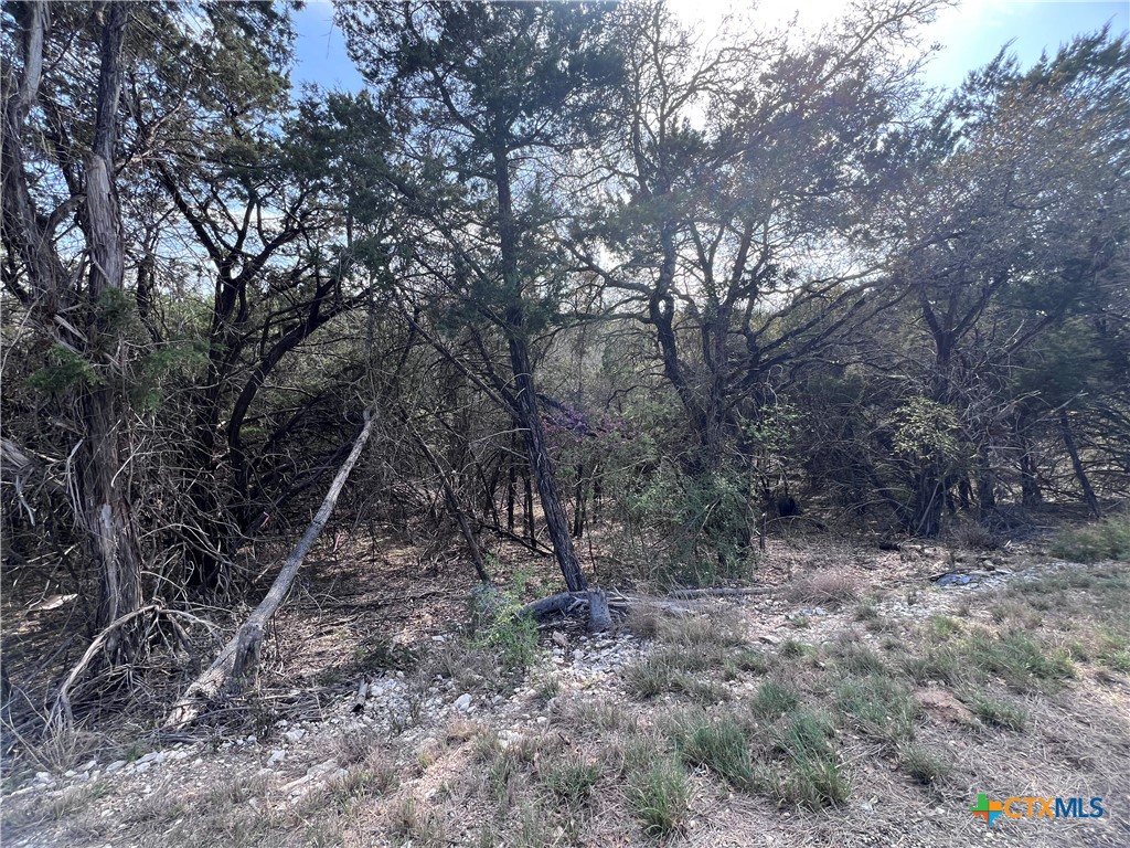 4079 Sherwood Drive Belton, TX 76513 - Photo 5 of 9