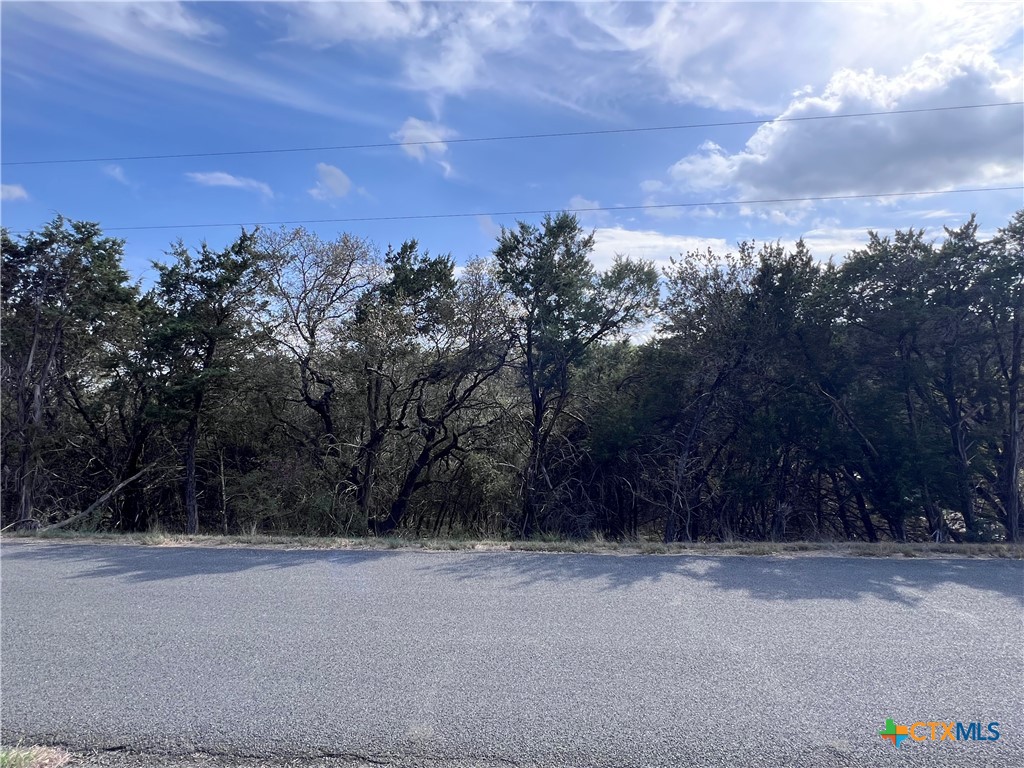 4079 Sherwood Drive Belton, TX 76513 - Photo 6 of 9