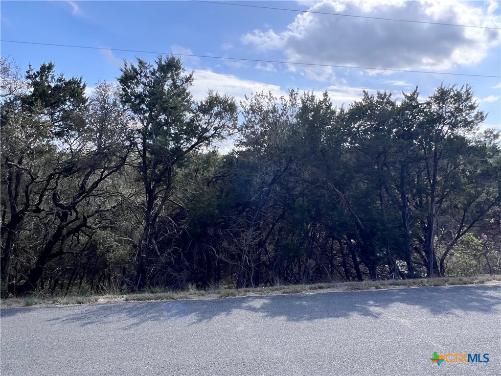 4079 Sherwood Drive Belton, TX 76513 - Photo 7 of 9