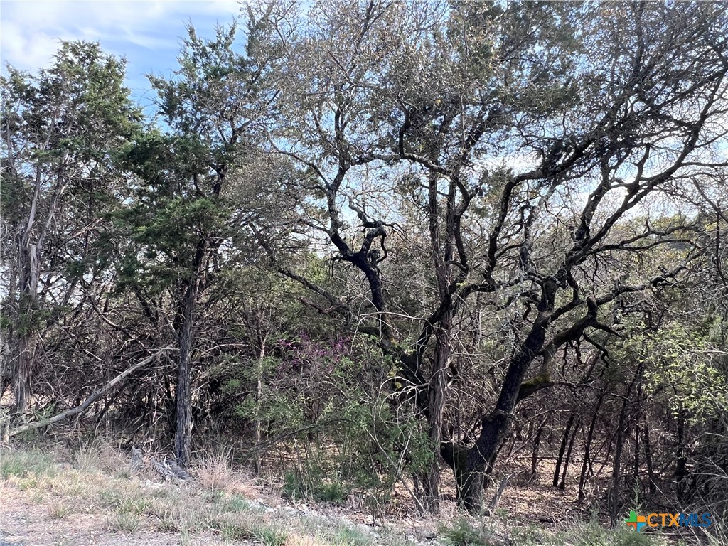 4079 Sherwood Drive Belton, TX 76513 - Photo 8 of 9