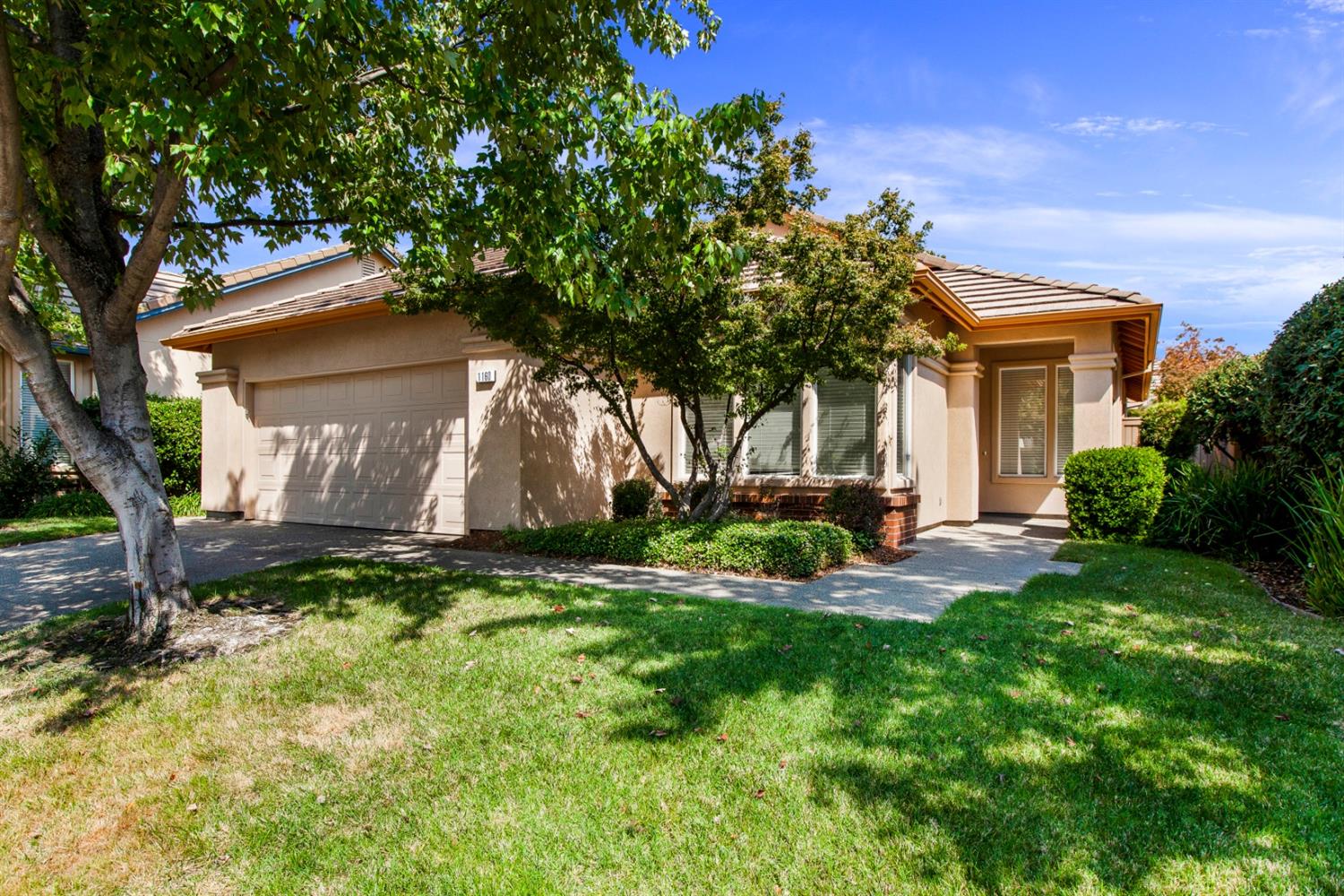 1160 Cobblefields Court Folsom, CA 95630 - Photo 24 of 26 a view of a house with backyard and a tree