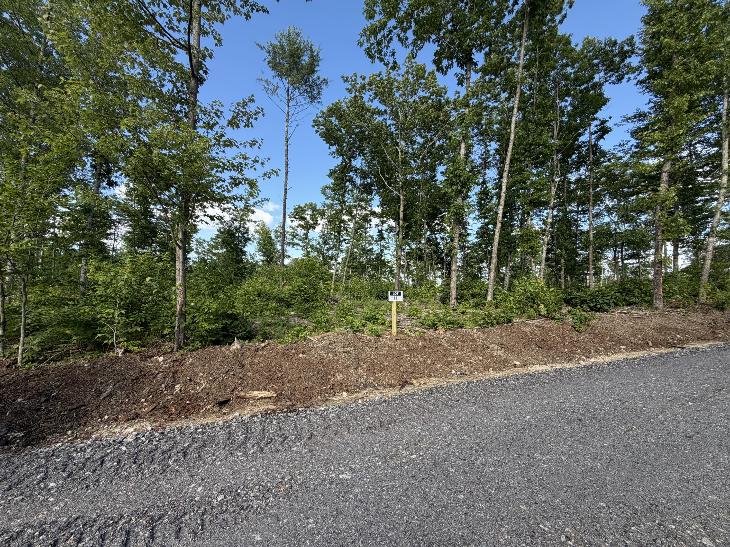 Lot 11 Casco Road Naples, ME 04055 - Photo 16 of 17 IMG_4957