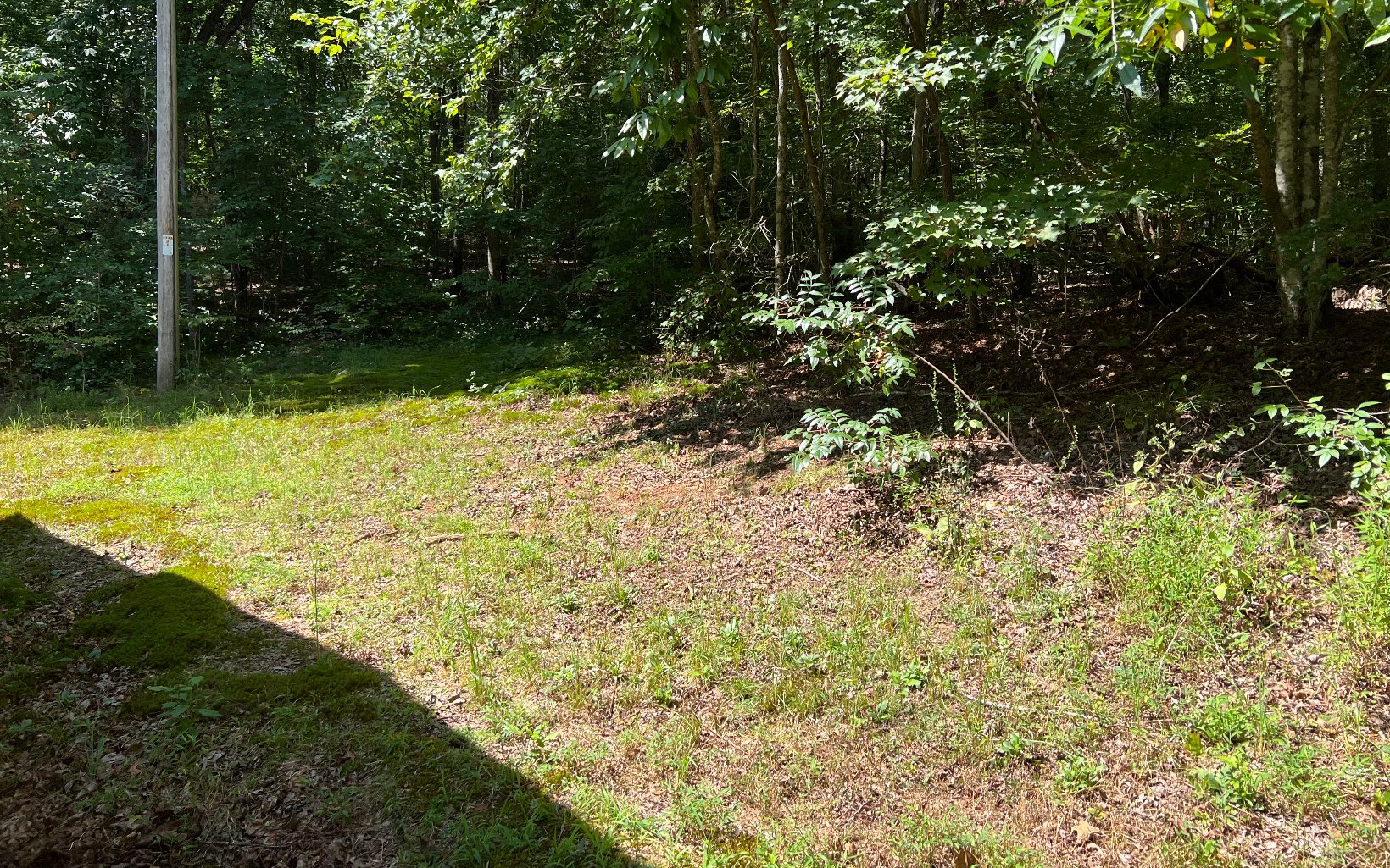 76 Scenic Lane Blue Ridge, GA 30513 - Photo 29 of 42 Additional View