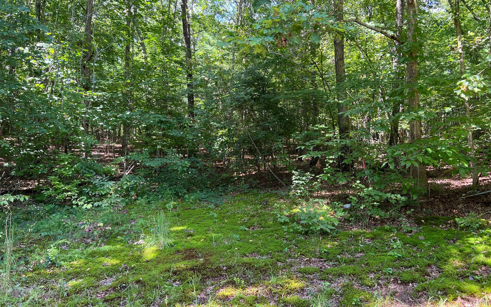 76 Scenic Lane Blue Ridge, GA 30513 - Photo 31 of 42 Additional View