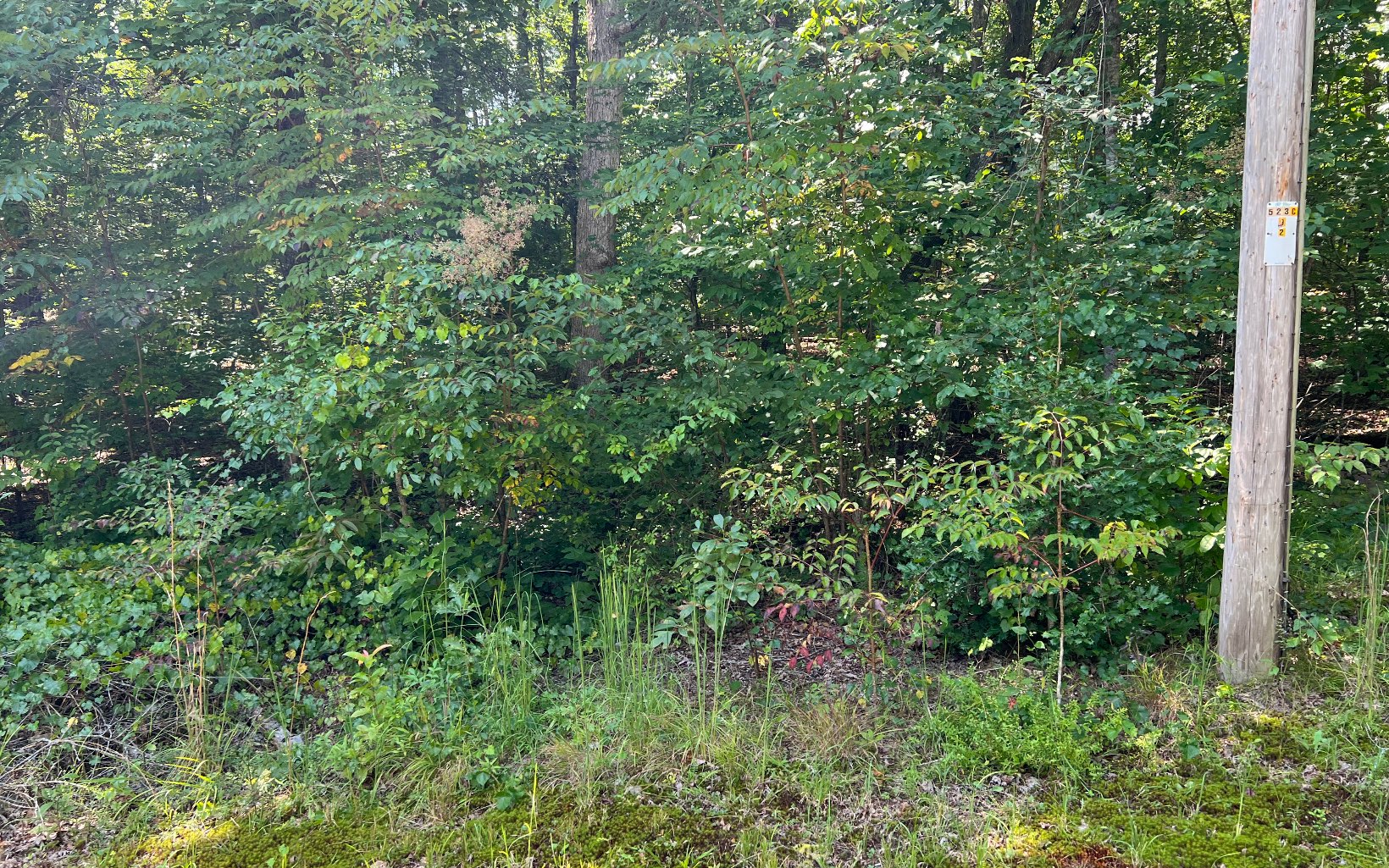 76 Scenic Lane Blue Ridge, GA 30513 - Photo 32 of 42 Additional View