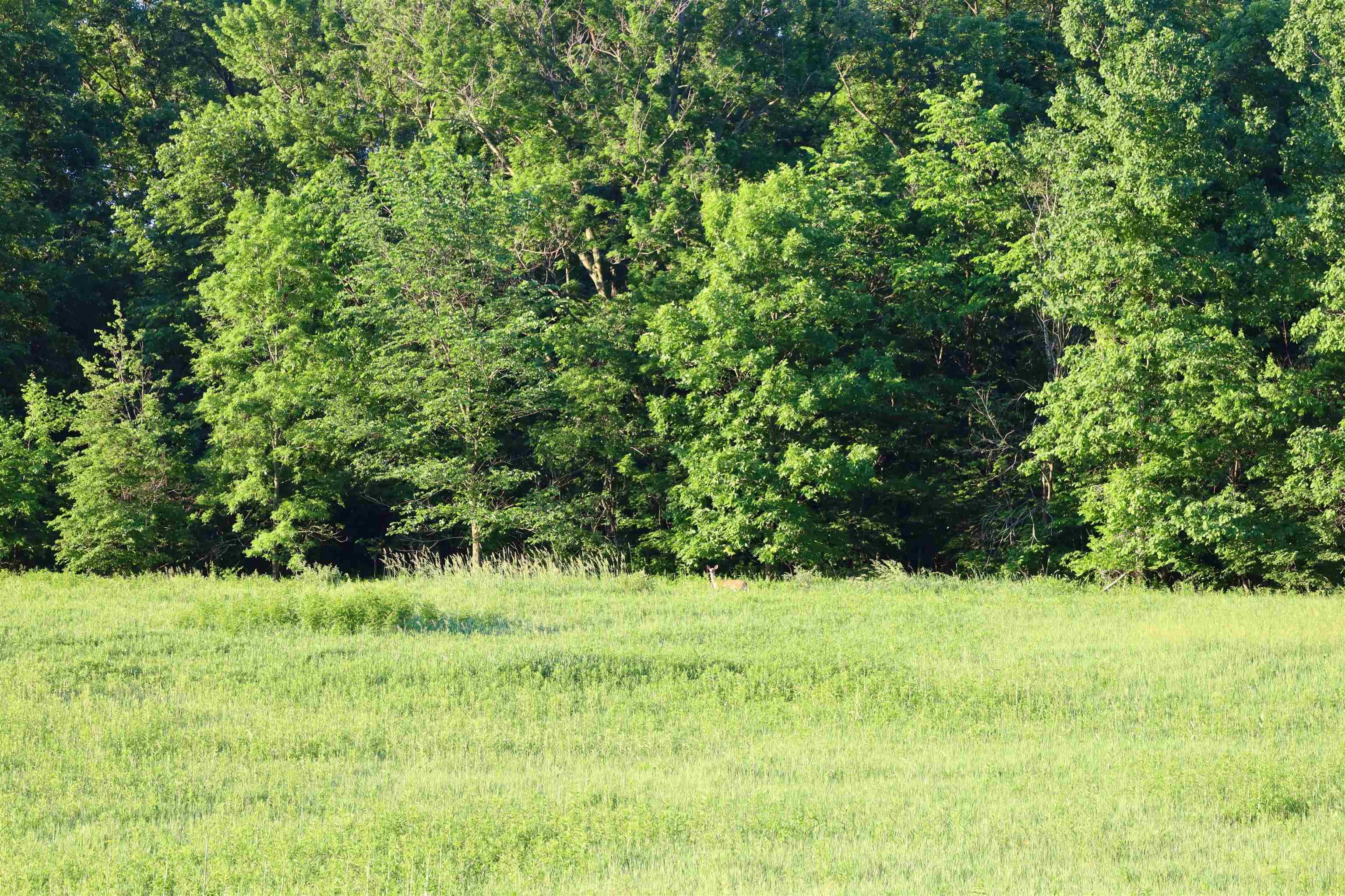 Tbd Wheat Hollow Road Cazenovia, WI 53924 - Photo 32 of 42