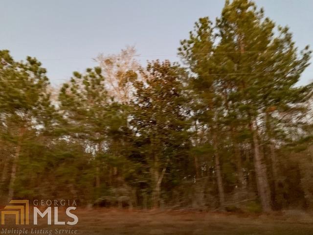 0 County Rd 173 Alamo, GA 30411 - Photo 1 of 1 Gallery Image 1