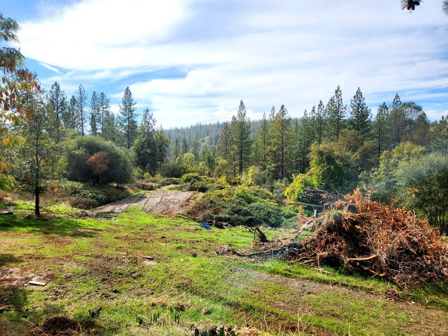 9366 Ranger Trail Oregon House, CA 95962 - Photo 2 of 40