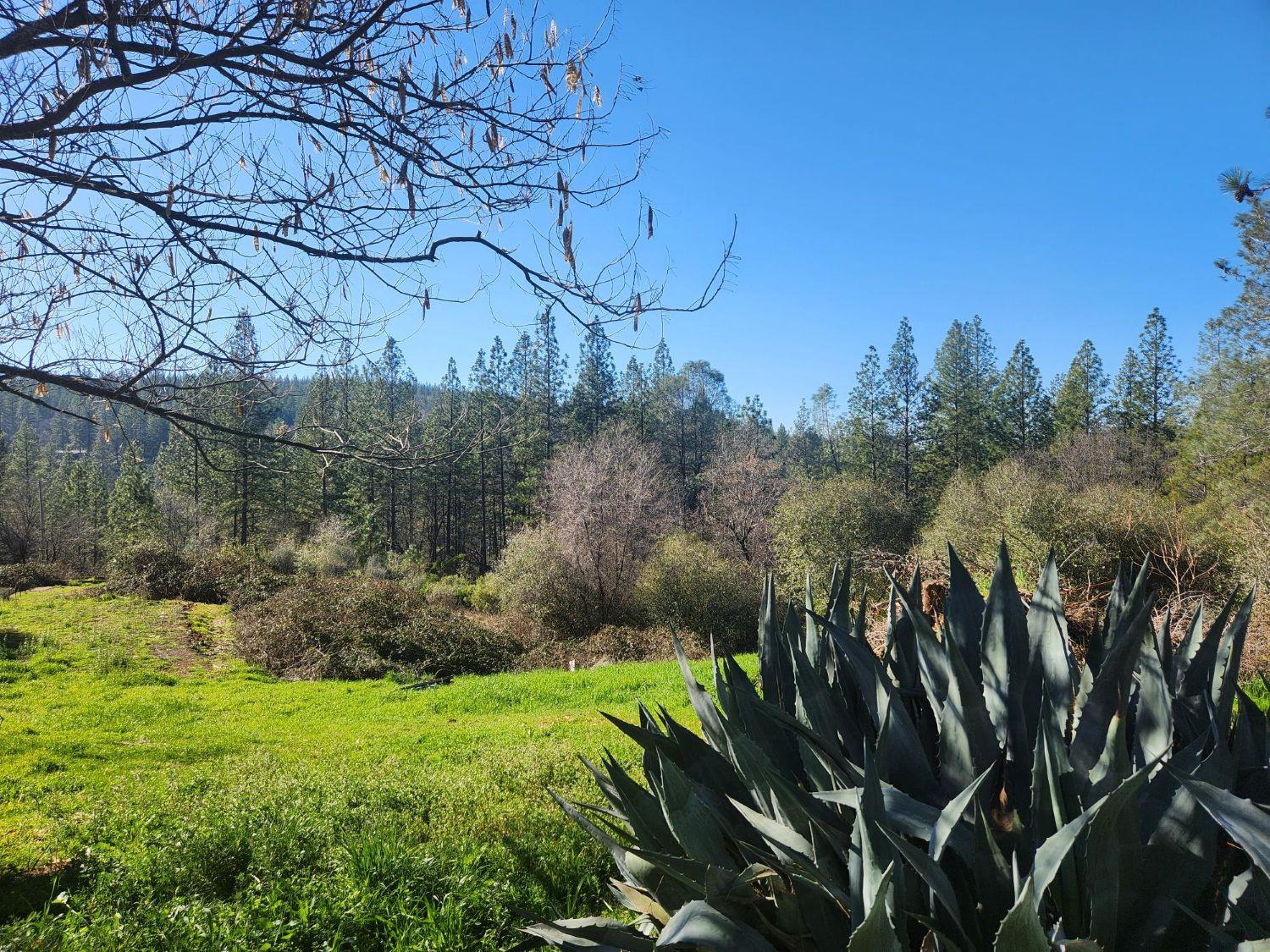 9366 Ranger Trail Oregon House, CA 95962 - Photo 3 of 40