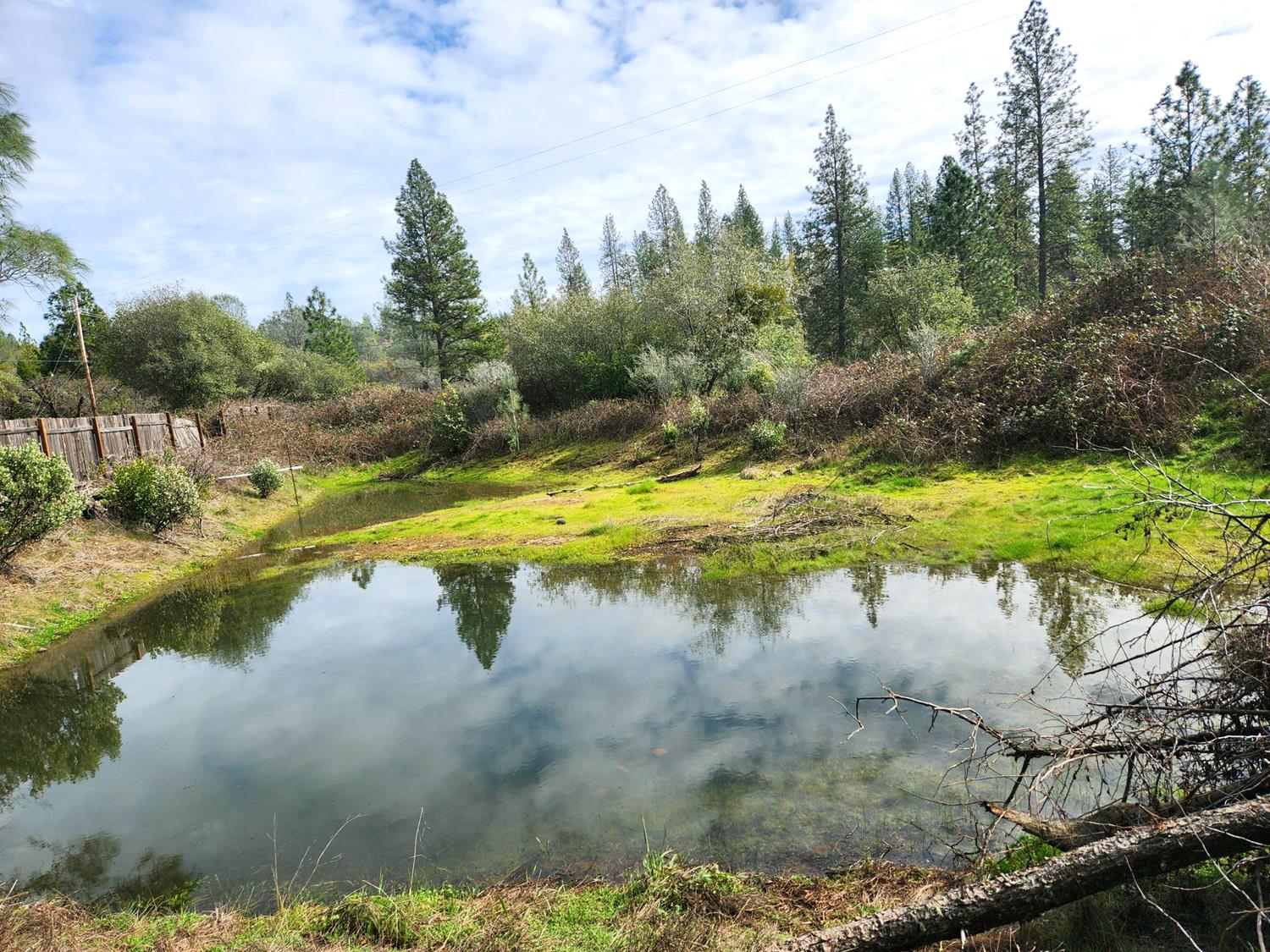 9366 Ranger Trail Oregon House, CA 95962 - Photo 3 of 47