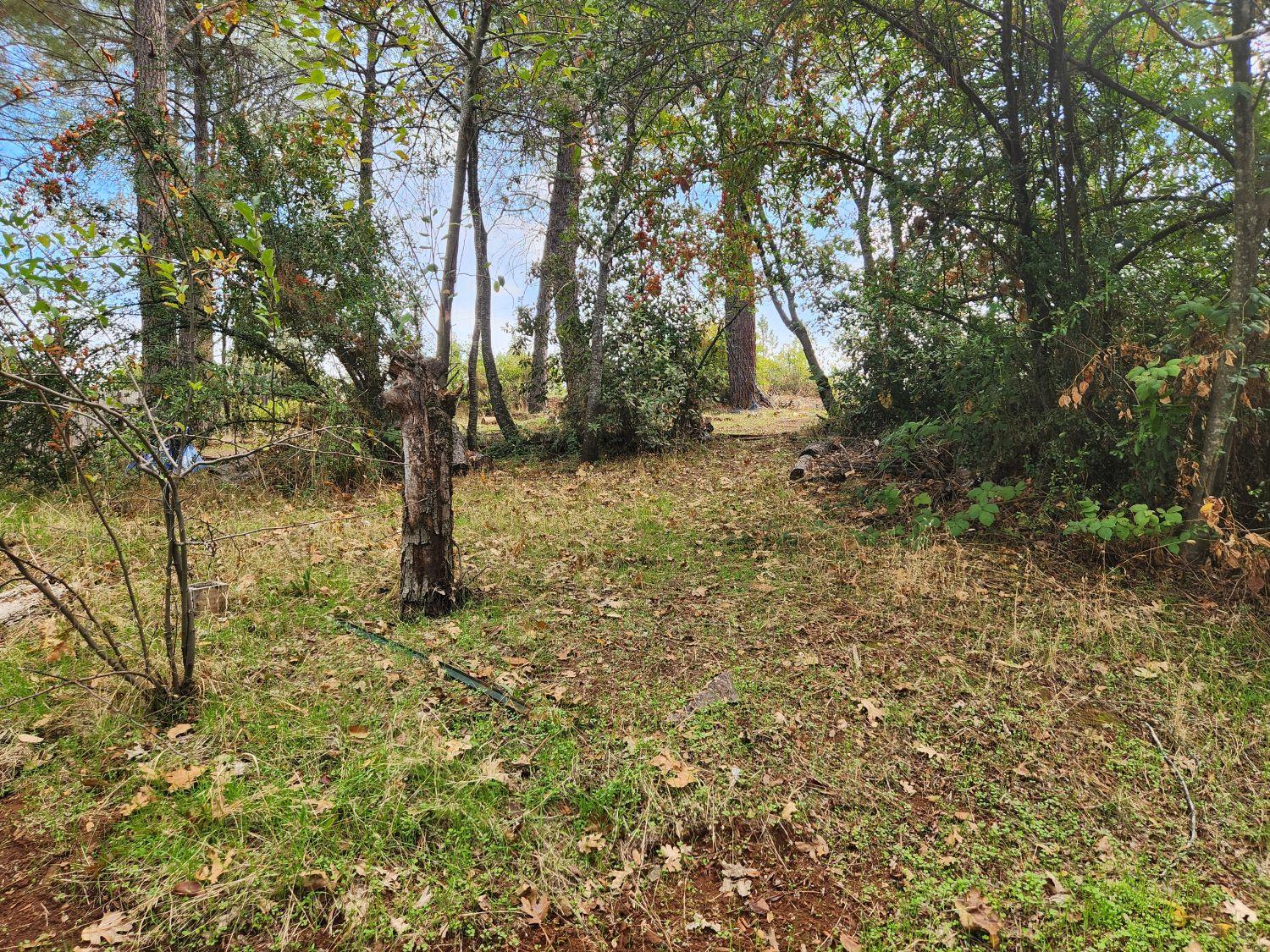 9366 Ranger Trail Oregon House, CA 95962 - Photo 32 of 40