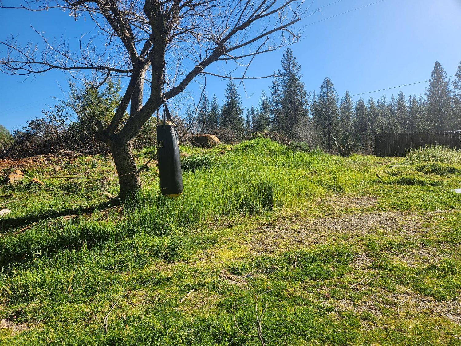 9366 Ranger Trail Oregon House, CA 95962 - Photo 40 of 47
