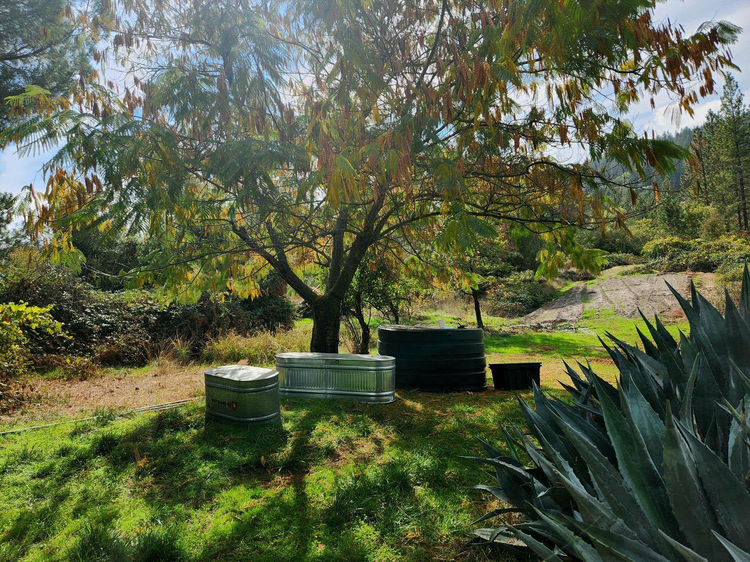 9366 Ranger Trail Oregon House, CA 95962 - Photo 5 of 40