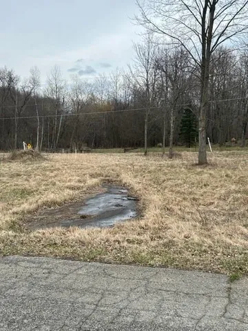 a fire hydrant in the middle of a yard