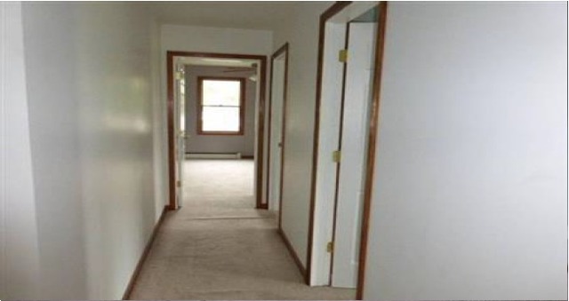 18215 Springfield Avenue Homewood, IL 60430 - Photo 11 of 14
