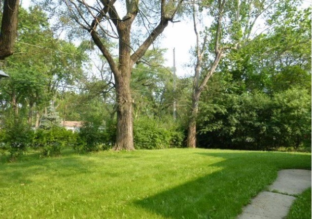18215 Springfield Avenue Homewood, IL 60430 - Photo 3 of 14