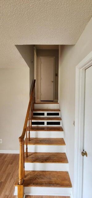 3106 Truxton Road Augusta, GA 30906 - Photo 5 of 10 20230626031525256576000000-o
