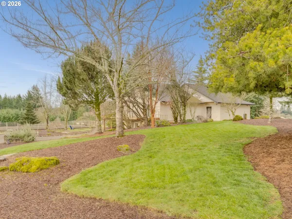 a view of back yard of the house