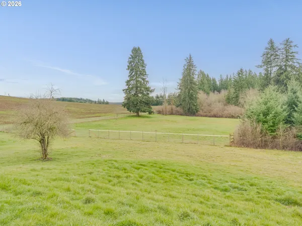 a view of back yard of the house