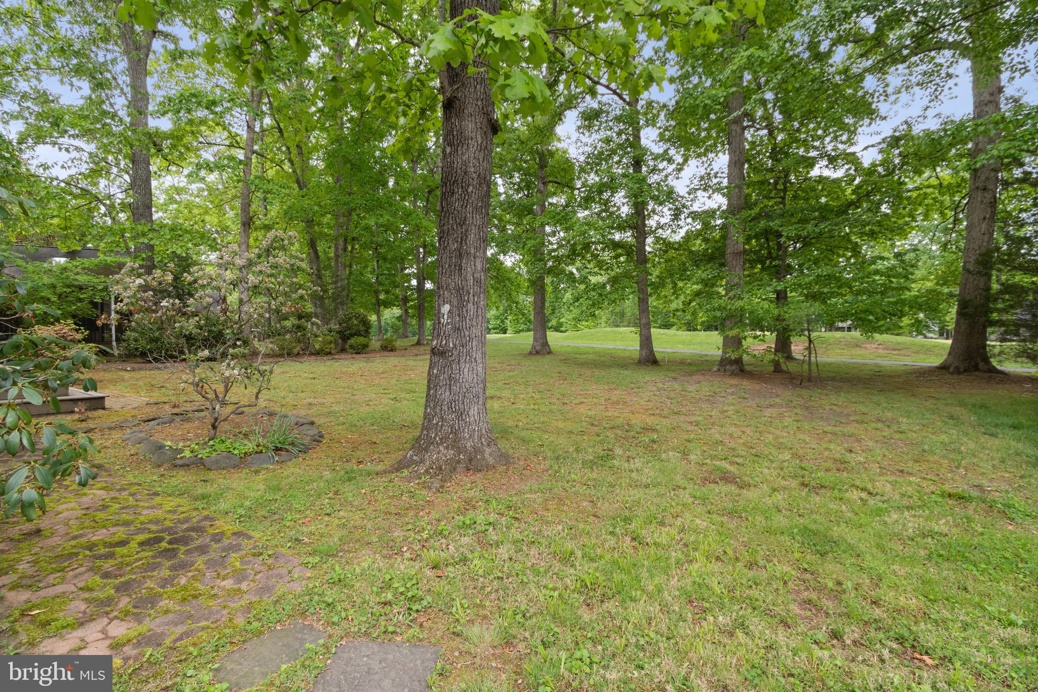 210 Limestone Lane Locust Grove, VA 22508 - Photo 37 of 42
