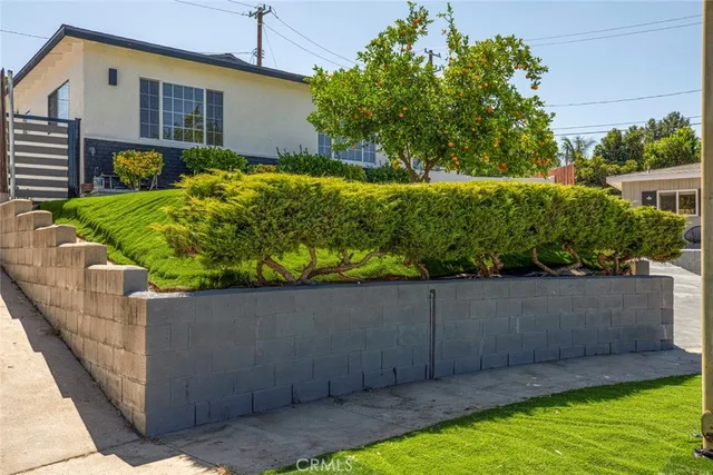 a view of a backyard with plants