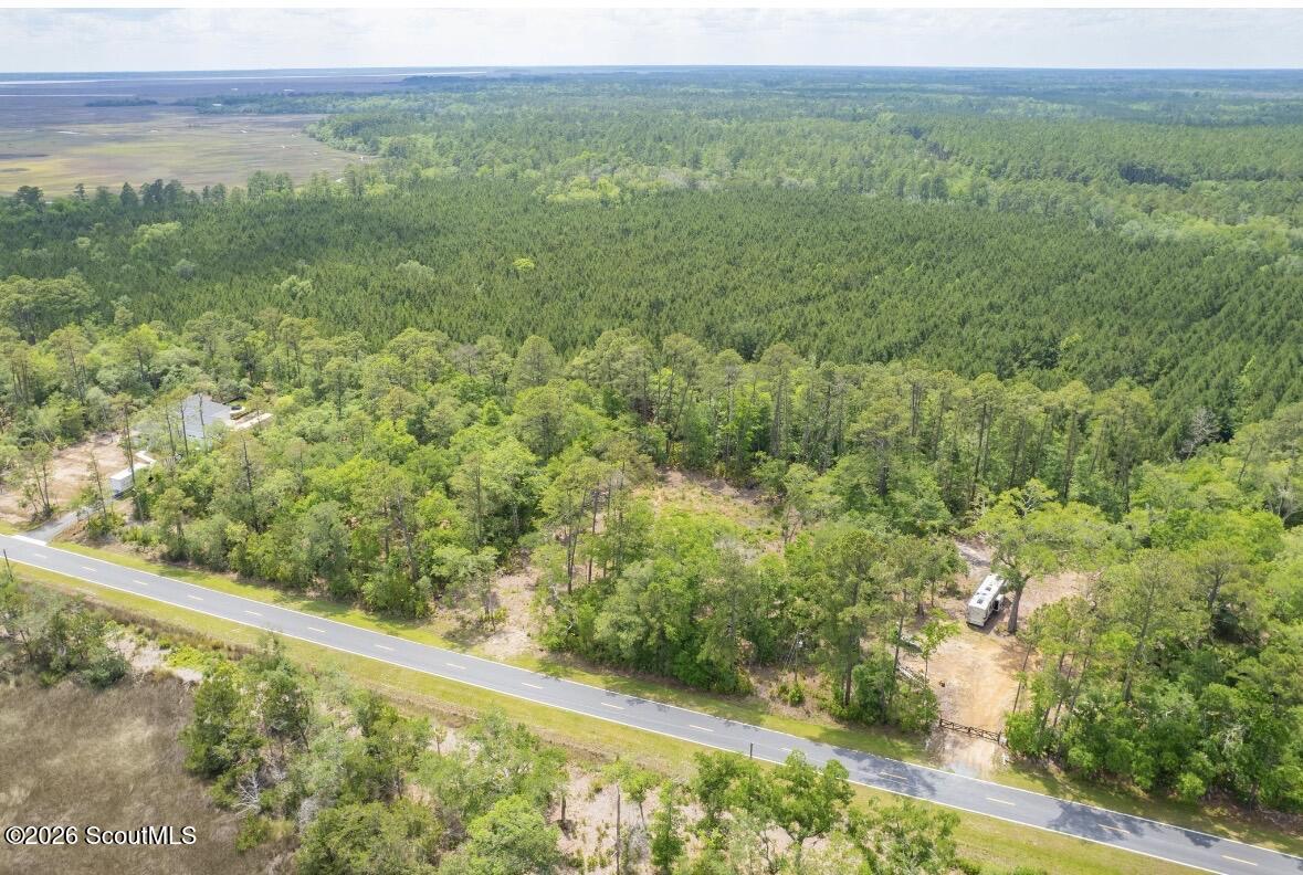 0 Piney Bluff Road Waverly, GA 31565 - Photo 18 of 26 On Paved road and Marsh view from front