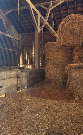 $355,000 | W12881 Sheldon Road, Brandon, WI 53919