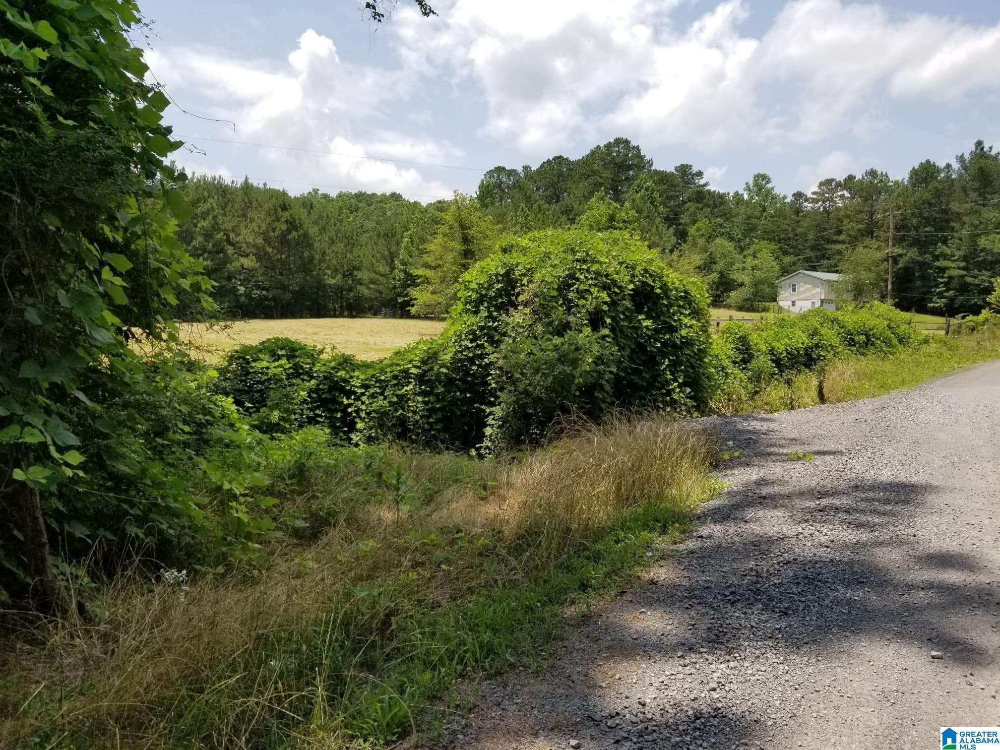 Honeycutt Road Remlap, AL 35133 - Photo 18 of 24