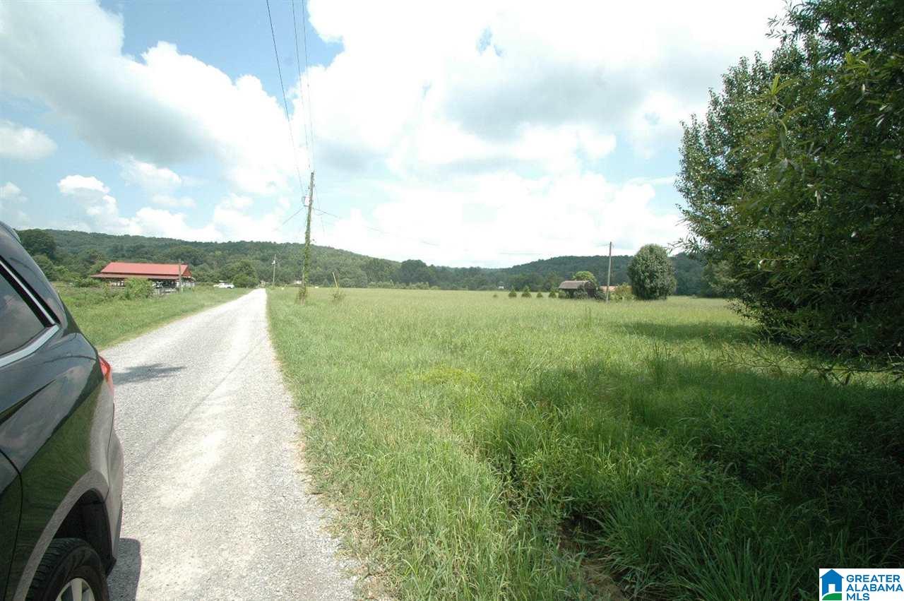 0 Murphree Valley Road Altoona, AL 35952 - Photo 4 of 6