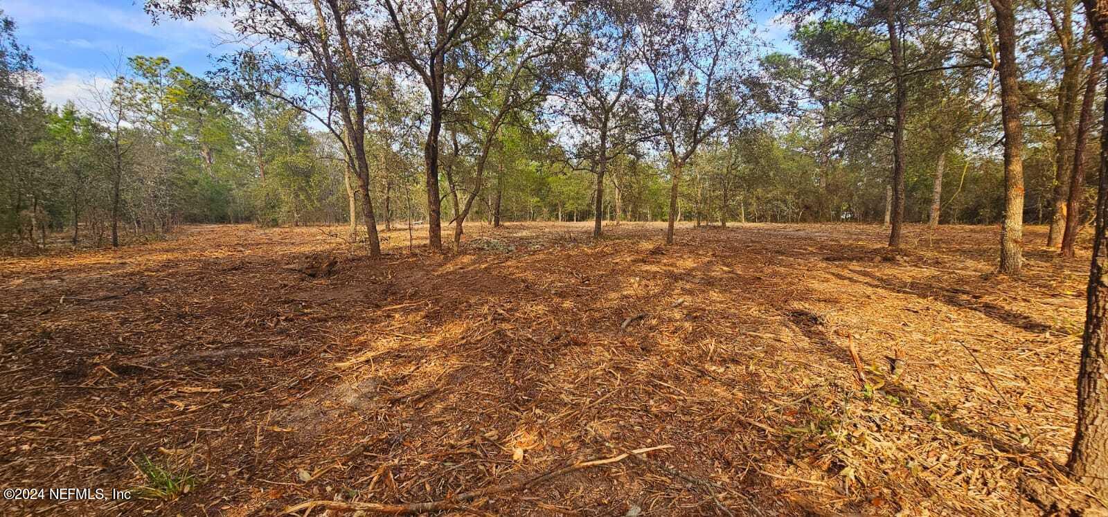a view of a yard with trees