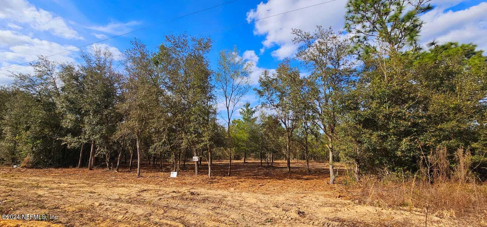 0 Lily Trail Interlachen, FL 32148 - Photo 11 of 22 a backyard of a house with lots of green space