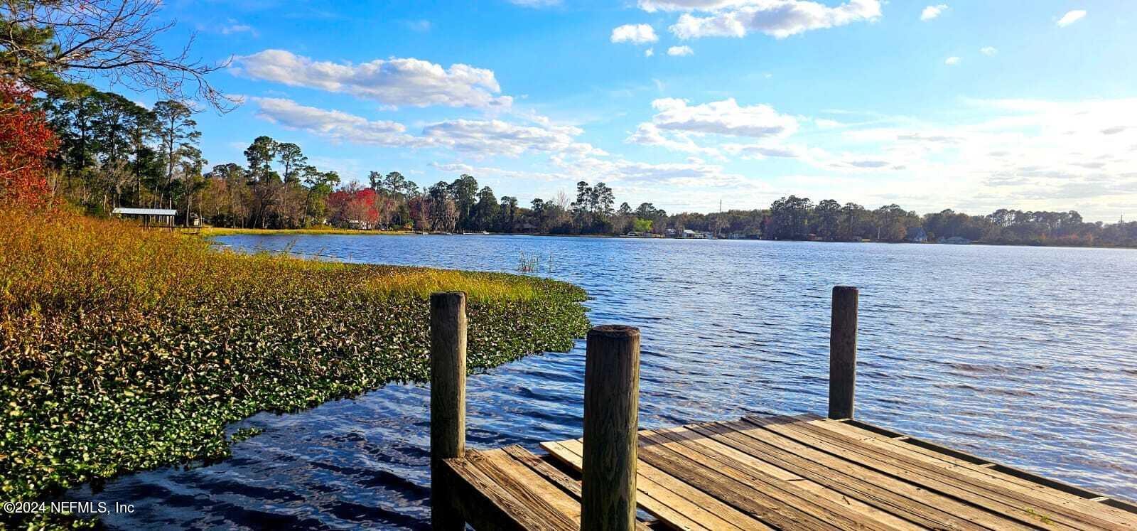 0 Lily Trail Interlachen, FL 32148 - Photo 19 of 22