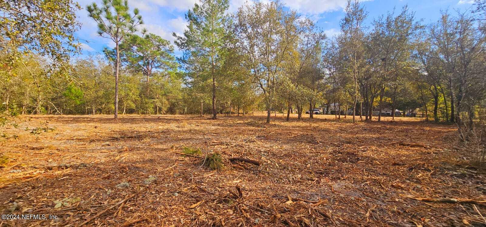 0 Lily Trail Interlachen, FL 32148 - Photo 2 of 22 a view of outdoor space with trees