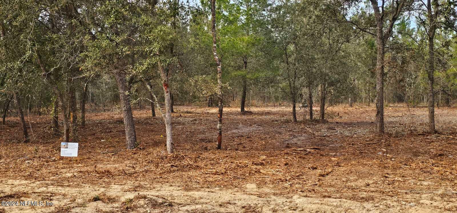 0 Lily Trail Interlachen, FL 32148 - Photo 3 of 22 a view of some trees in the backyard
