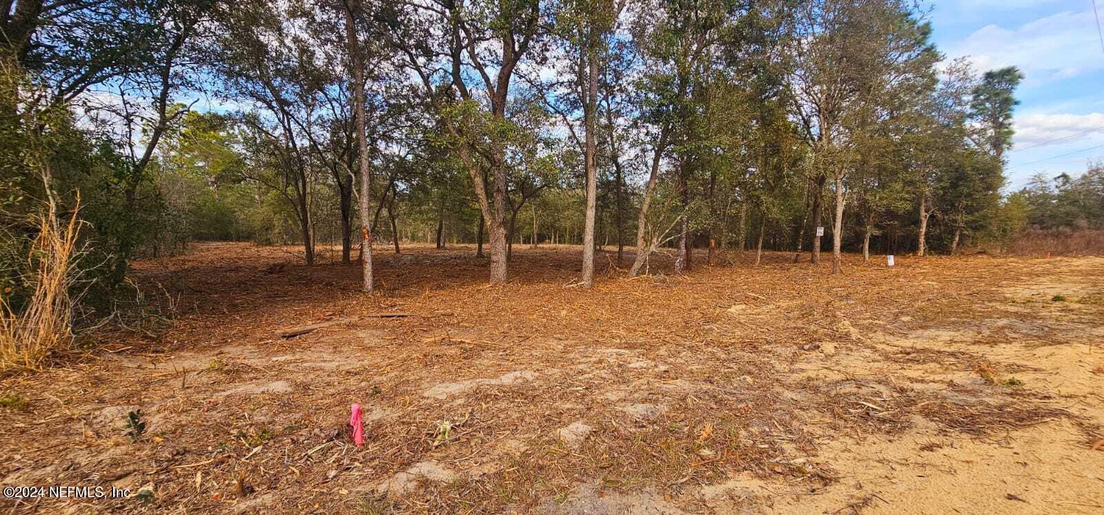 0 Lily Trail Interlachen, FL 32148 - Photo 4 of 22 a backyard of a house with lots of green space