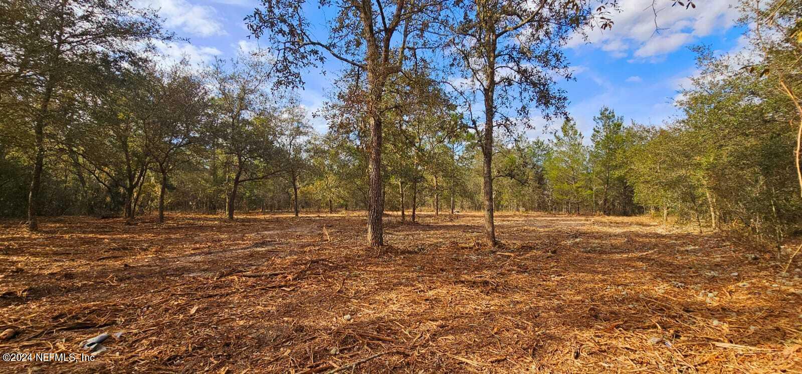 0 Lily Trail Interlachen, FL 32148 - Photo 5 of 22 a house with trees in the background