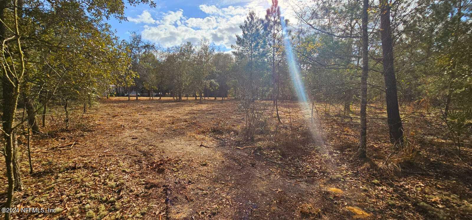 0 Lily Trail Interlachen, FL 32148 - Photo 6 of 22 a view of a yard with trees