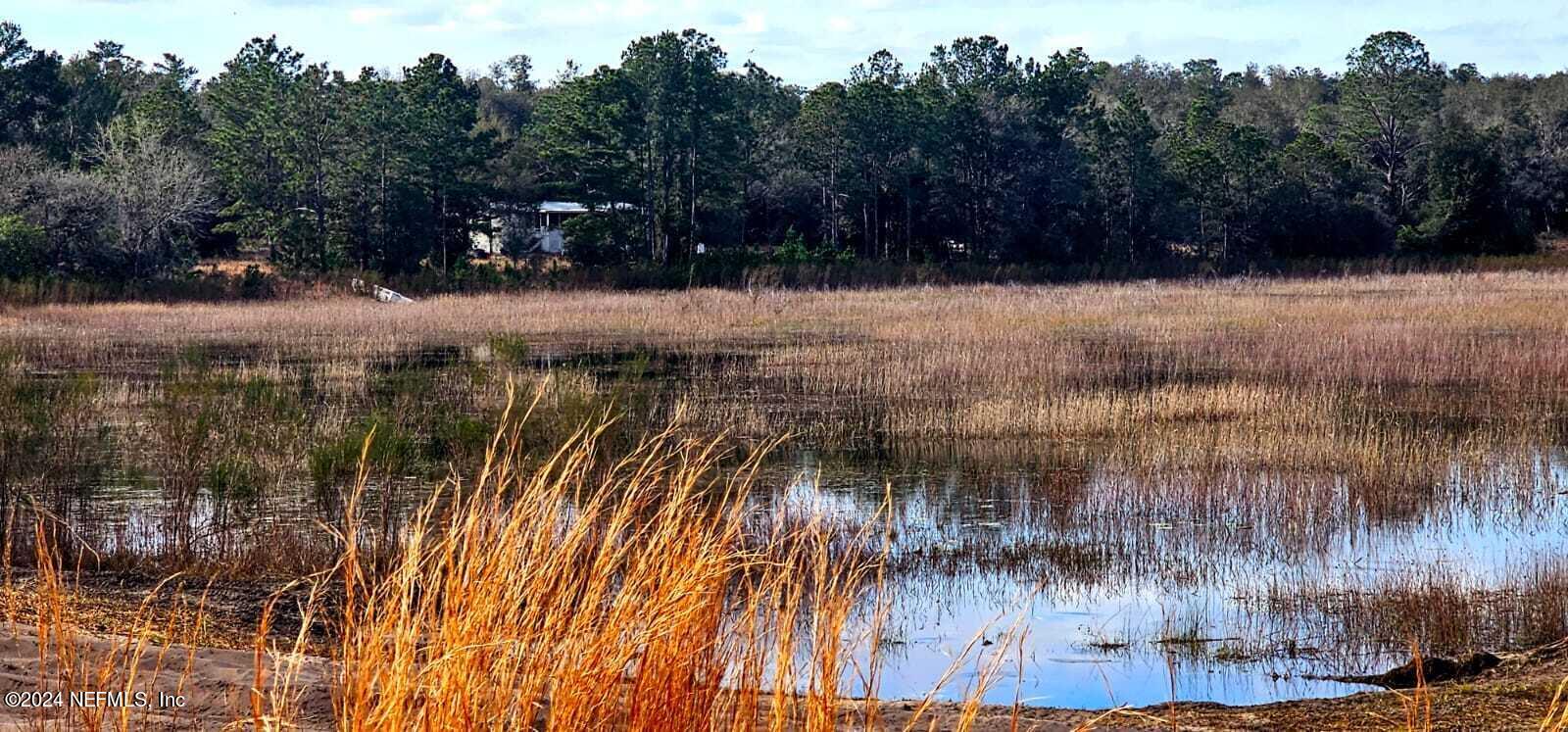 0 Lily Trail Interlachen, FL 32148 - Photo 8 of 22 a view of swimming pool with a yard