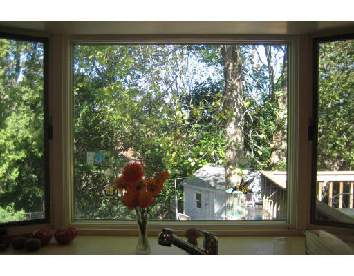 55 Staniford Street Newton, MA 02466 - Photo 15 of 17 a view of a yard from a window