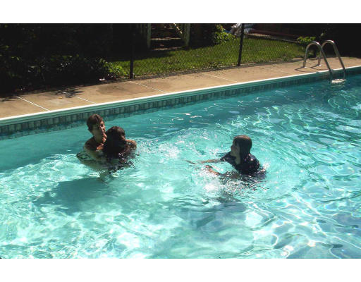 55 Staniford Street Newton, MA 02466 - Photo 16 of 17 a backyard of a house with lots of green space