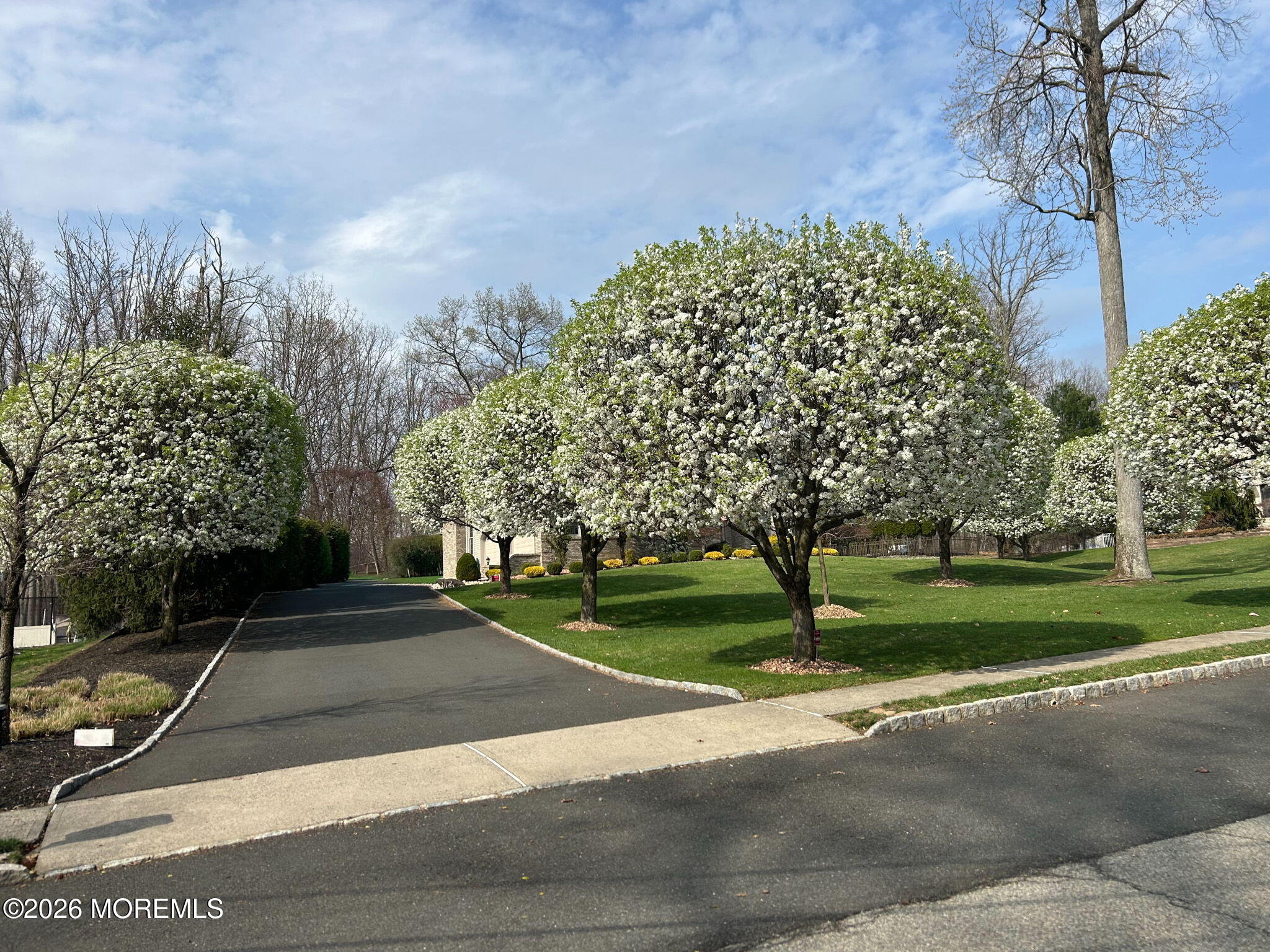 22 Bartram Road Englishtown, NJ 07726 - Photo 5 of 62 Driveway