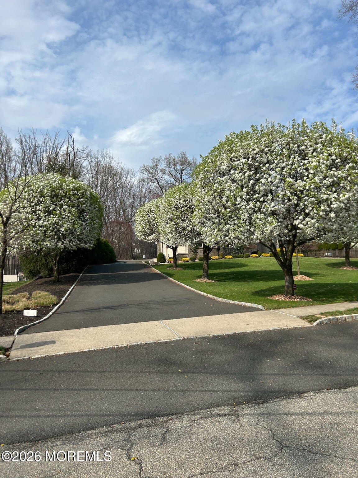 22 Bartram Road Englishtown, NJ 07726 - Photo 6 of 62 Driveway