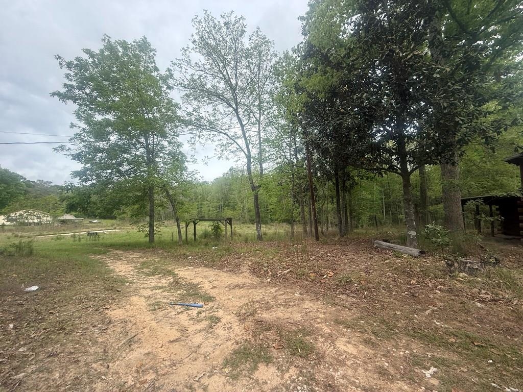 7273 County Line Road Silsbee, TX 77656 - Photo 34 of 37