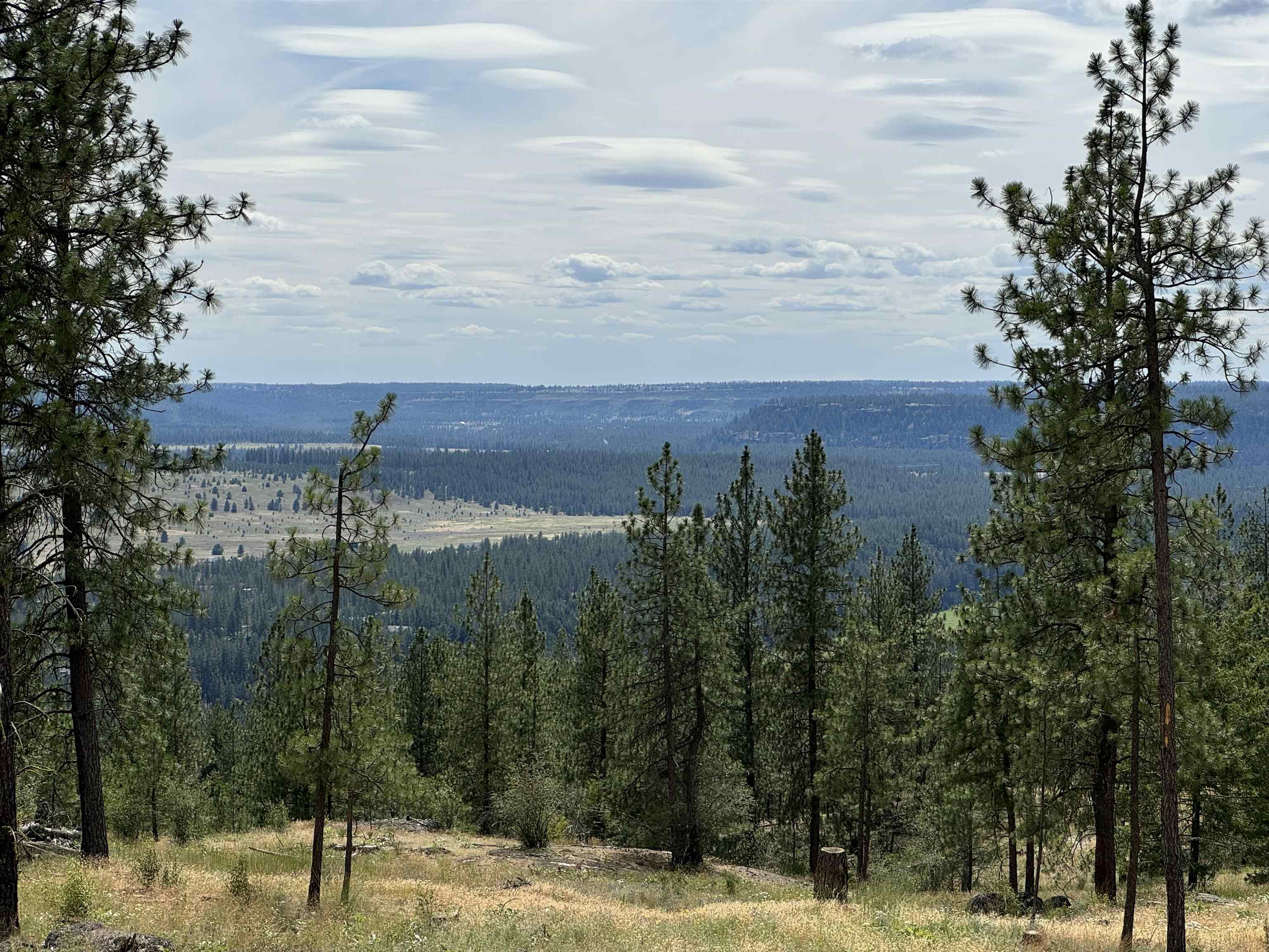 14812 Cliff Lane, Unit SITE 130 Spokane, WA 99208 - Photo 2 of 2