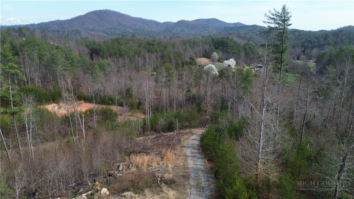 4229 Grandin Road Lenoir, NC 28645 - Photo 6 of 46 Gallery Image 6