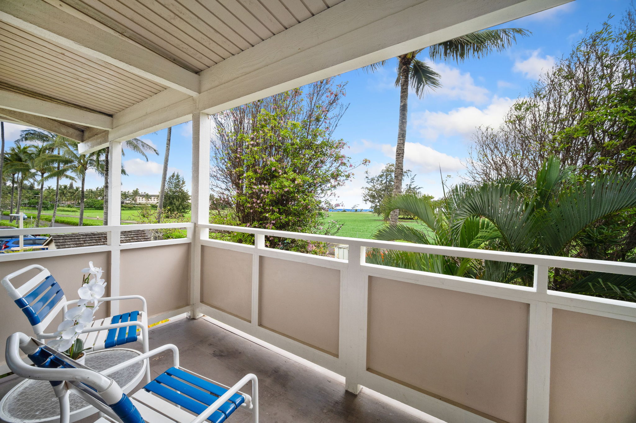 525 Aleka Loop, Unit F13 Kapaa, HI 96746 - Photo 19 of 29