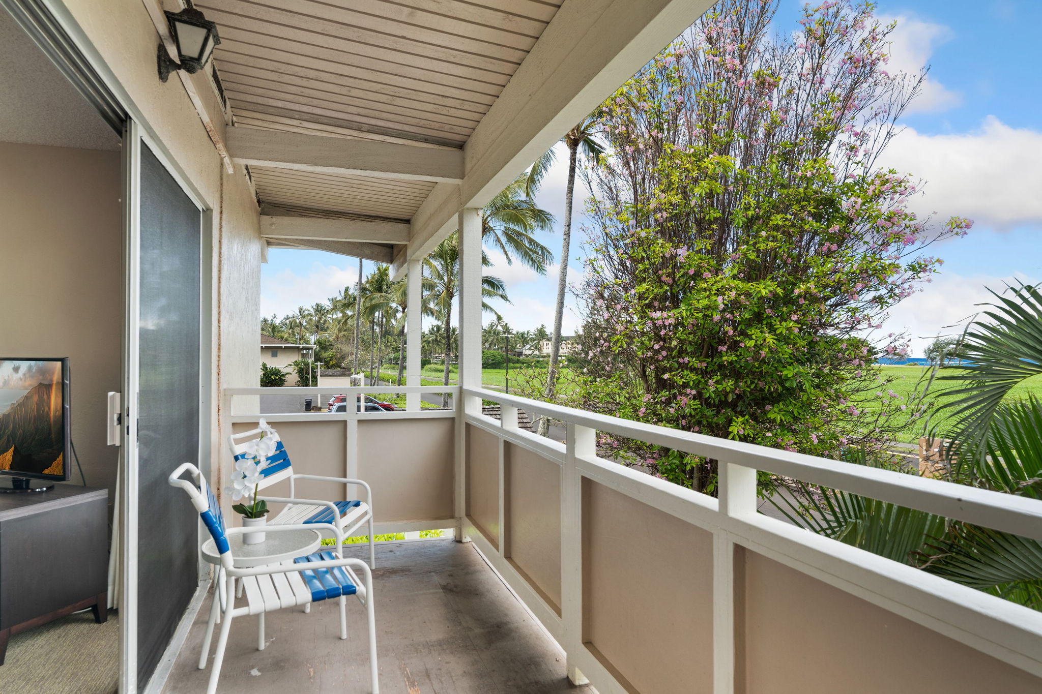 525 Aleka Loop, Unit F13 Kapaa, HI 96746 - Photo 20 of 29