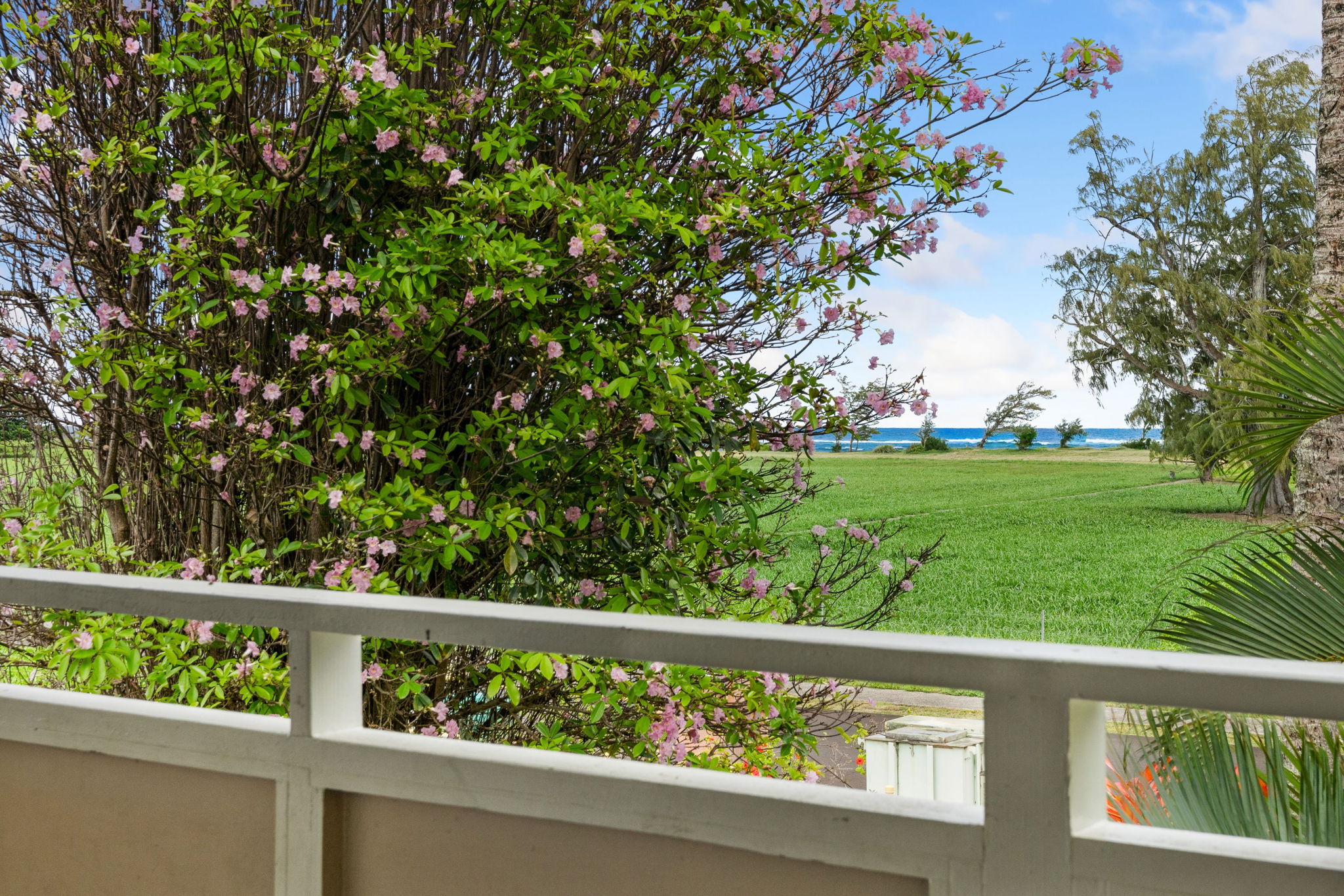 525 Aleka Loop, Unit F13 Kapaa, HI 96746 - Photo 23 of 29